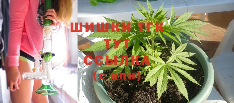 Конопля White Widow  купить наркотики сайты  Алагир 